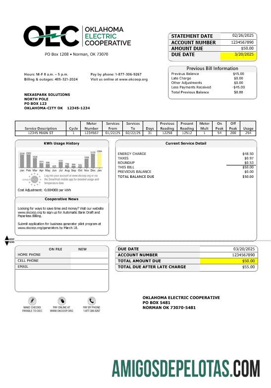 Em branco modelo de fatura de serviços públicos de eletricidade OEC dos EUA em formatos Word e PDF
